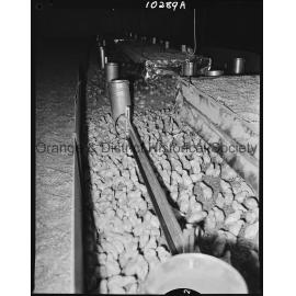 Poultry Industry at Barretts