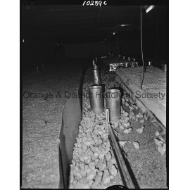 Poultry Industry at Barretts