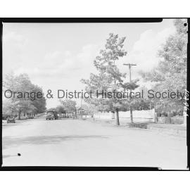 Tree pruning for new power line