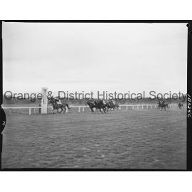 Melbourne Cup Day Races