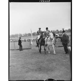 Melbourne Cup Day Races
