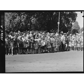 Cherry Blossom procession