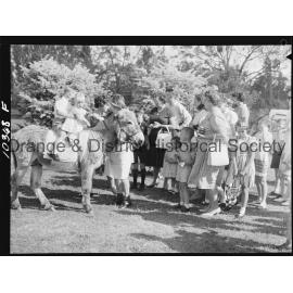 Bloomfield Hospital fete