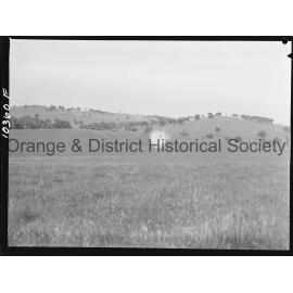 Fighting bushfires from the air