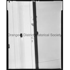 Tree sprouting through wall of house