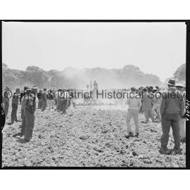 Orange National Field Days