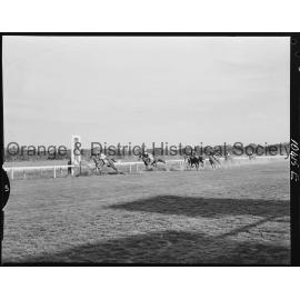 Orange race finishes