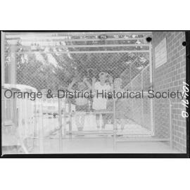 Orange swimming baths