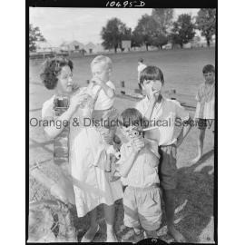 Ophir County Council Christmas picnic