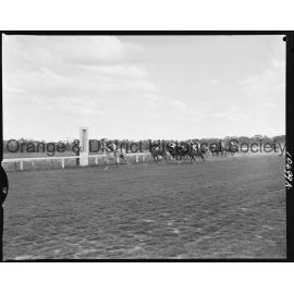 Orange race finishes