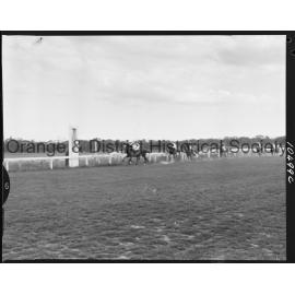 Orange race finishes