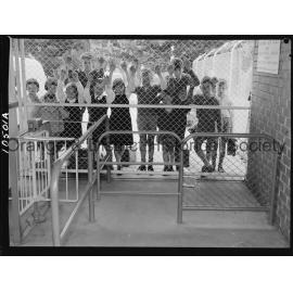 Orange pool to re-open soon