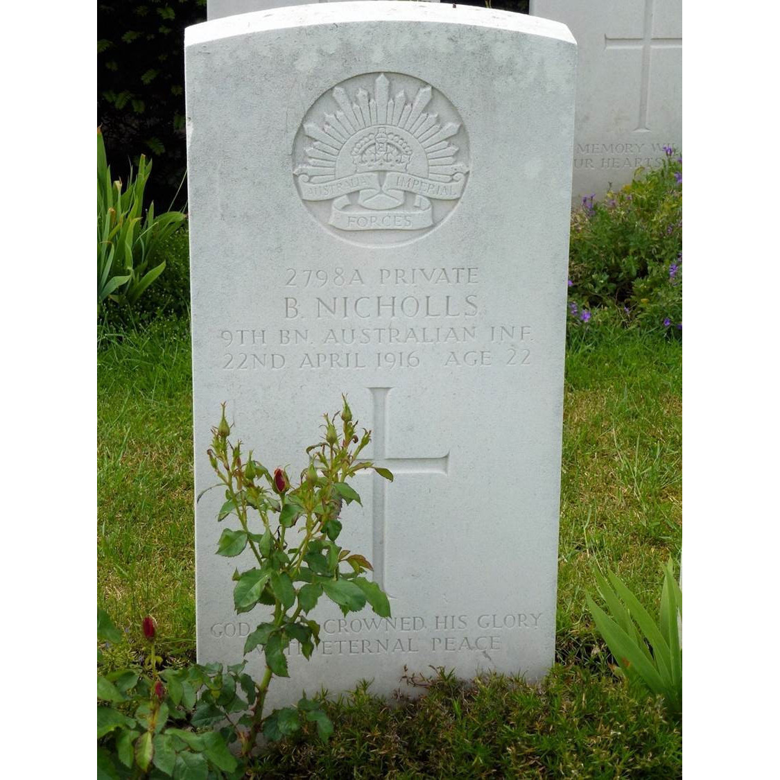 Basil Nicholls