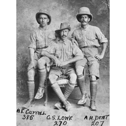 Albert Edward Carroll