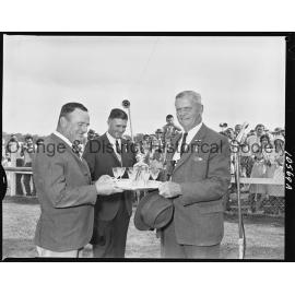 New Year's Day race meeting
