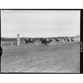 New Year's Day race meeting