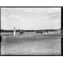 New Year's Day race meeting second day