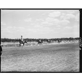 New Year's Day race meeting second day