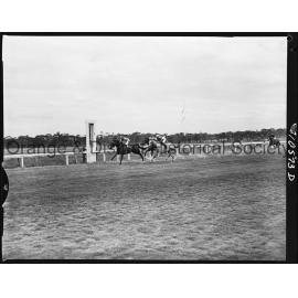 New Year's Day race meeting second day