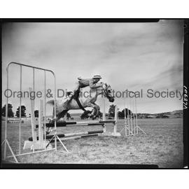 Pony Club camp