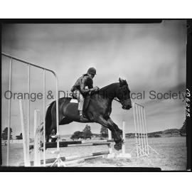Pony Club camp