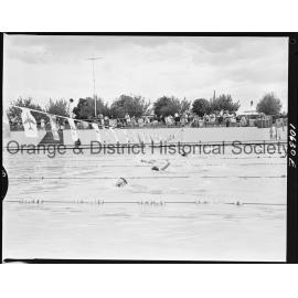 Swimming carnival