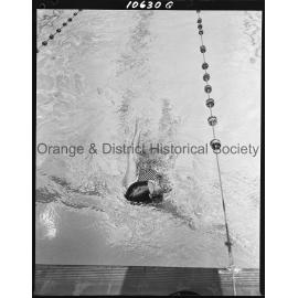 Swimming carnival