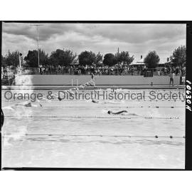 Swimming carnival