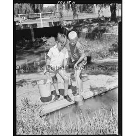 Tadpole collecting
