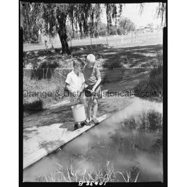 Tadpole collecting