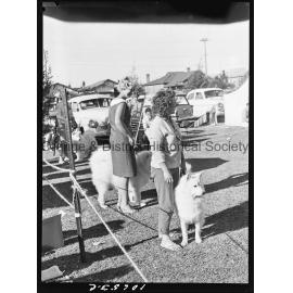 Kennel Club dog show