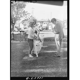 Kennel Club dog show
