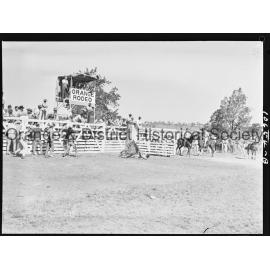 Bushman's Carnival