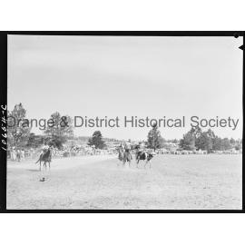 Bushman's Carnival