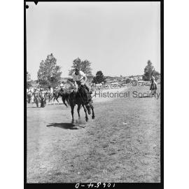Bushman's Carnival