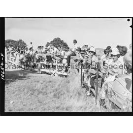 Bushman's Carnival