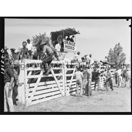 Bushman's Carnival