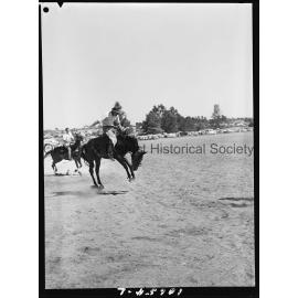 Bushman's Carnival
