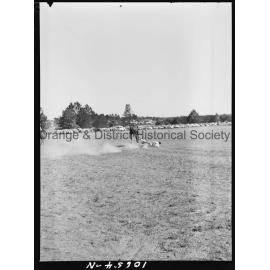 Bushman's Carnival