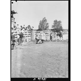 Bushman's Carnival