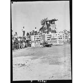 Bushman's Carnival