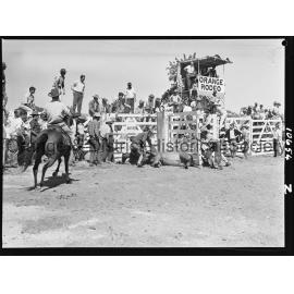 Bushman's Carnival