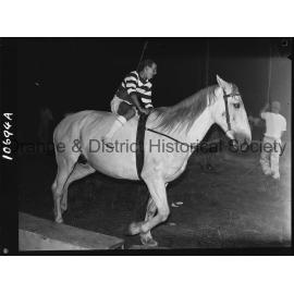 Trick riding at the circus