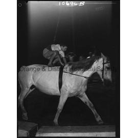 Trick riding at the circus