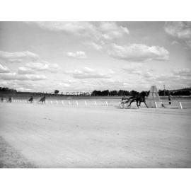 Sapling Stakes