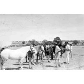 Blayney Show