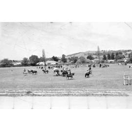 Blayney Show