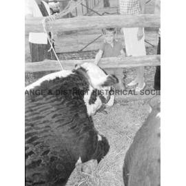 Cumnock Show