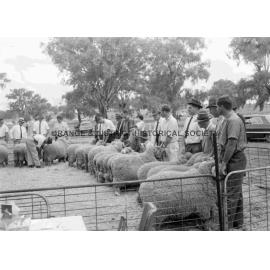 Cumnock Show