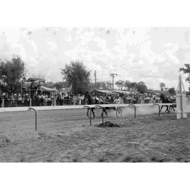 Cumnock Show